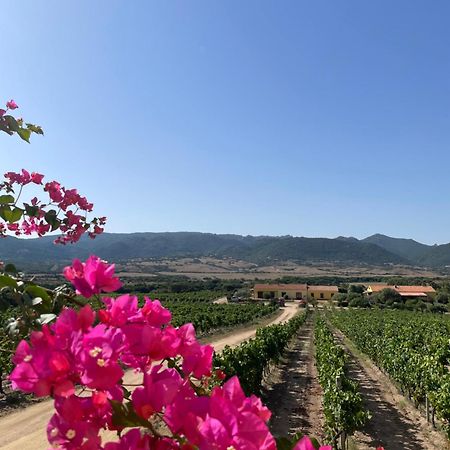 Agriturismo Campesi Casale Tra Le Vigne อาเญ็นตู ภายนอก รูปภาพ