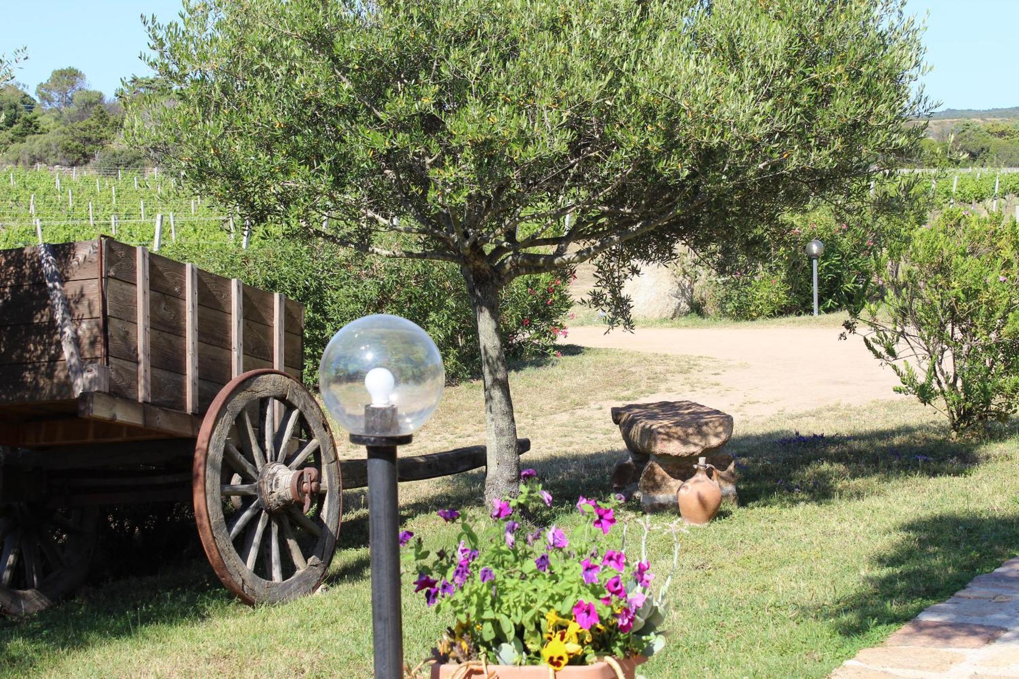 Agriturismo Campesi Casale Tra Le Vigne อาเญ็นตู ภายนอก รูปภาพ