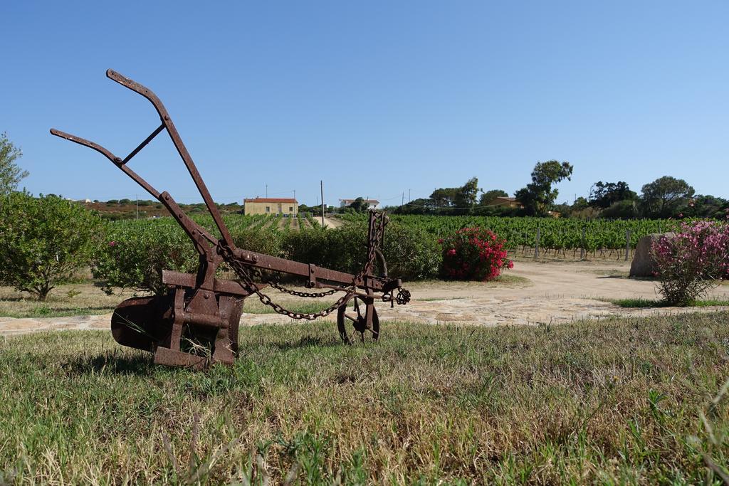Agriturismo Campesi Casale Tra Le Vigne อาเญ็นตู ภายนอก รูปภาพ