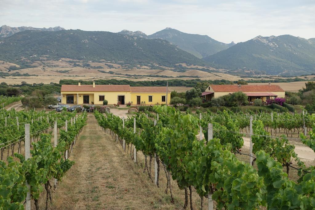 Agriturismo Campesi Casale Tra Le Vigne อาเญ็นตู ภายนอก รูปภาพ