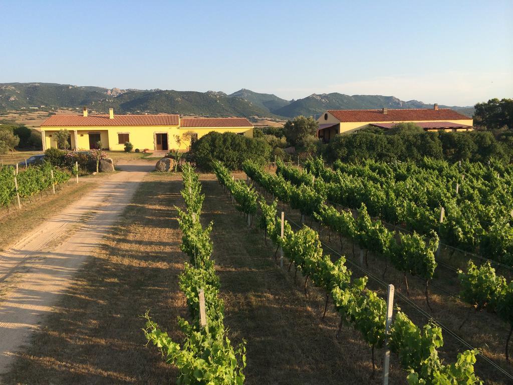 Agriturismo Campesi Casale Tra Le Vigne อาเญ็นตู ภายนอก รูปภาพ