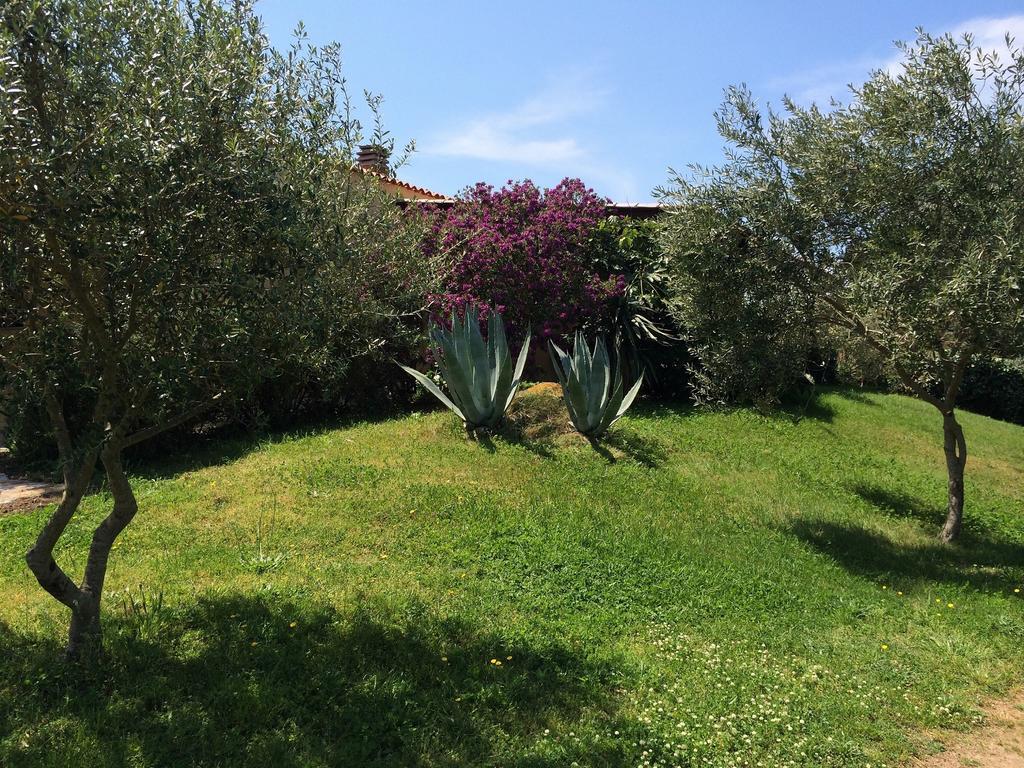 Agriturismo Campesi Casale Tra Le Vigne อาเญ็นตู ภายนอก รูปภาพ
