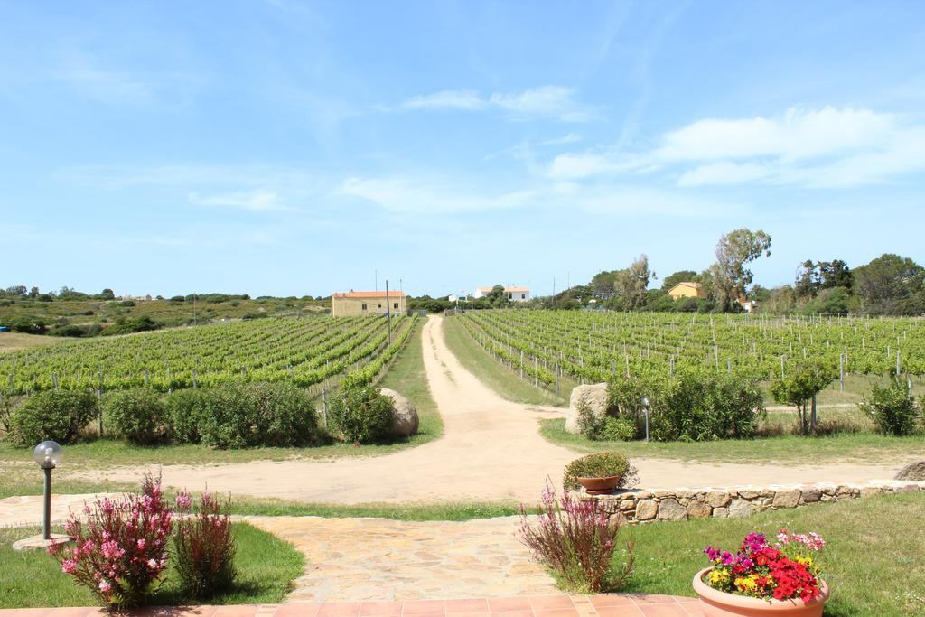 Agriturismo Campesi Casale Tra Le Vigne อาเญ็นตู ภายนอก รูปภาพ