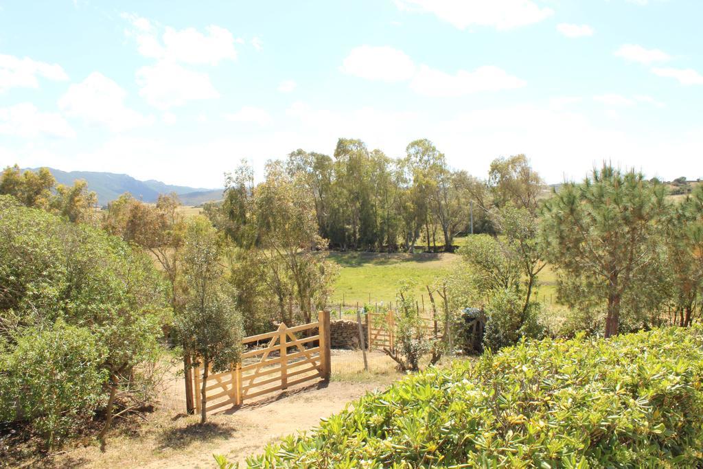 Agriturismo Campesi Casale Tra Le Vigne อาเญ็นตู ภายนอก รูปภาพ