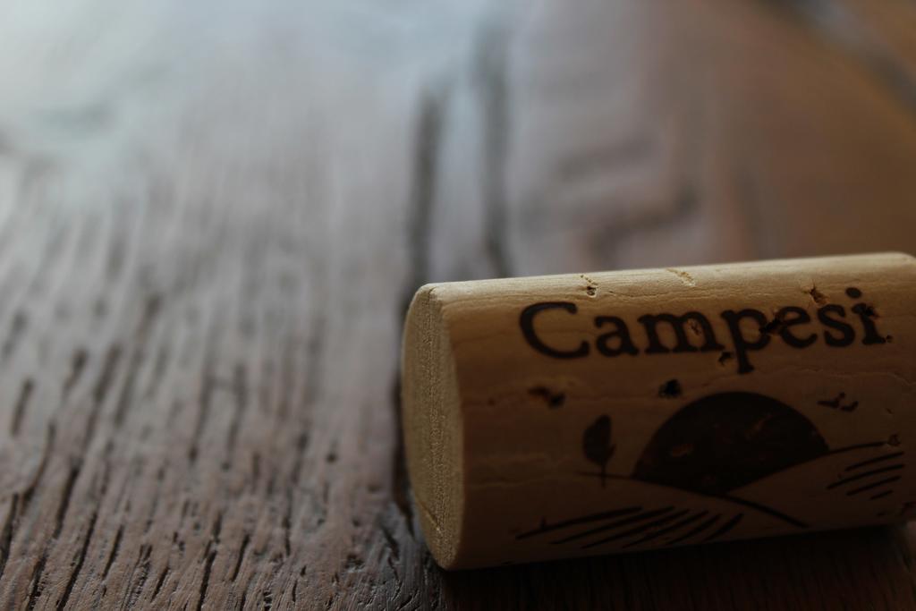 Agriturismo Campesi Casale Tra Le Vigne อาเญ็นตู ภายนอก รูปภาพ