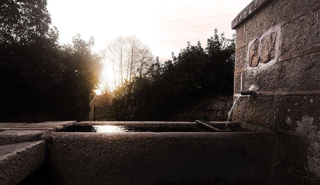 Agriturismo Campesi Casale Tra Le Vigne อาเญ็นตู ภายนอก รูปภาพ