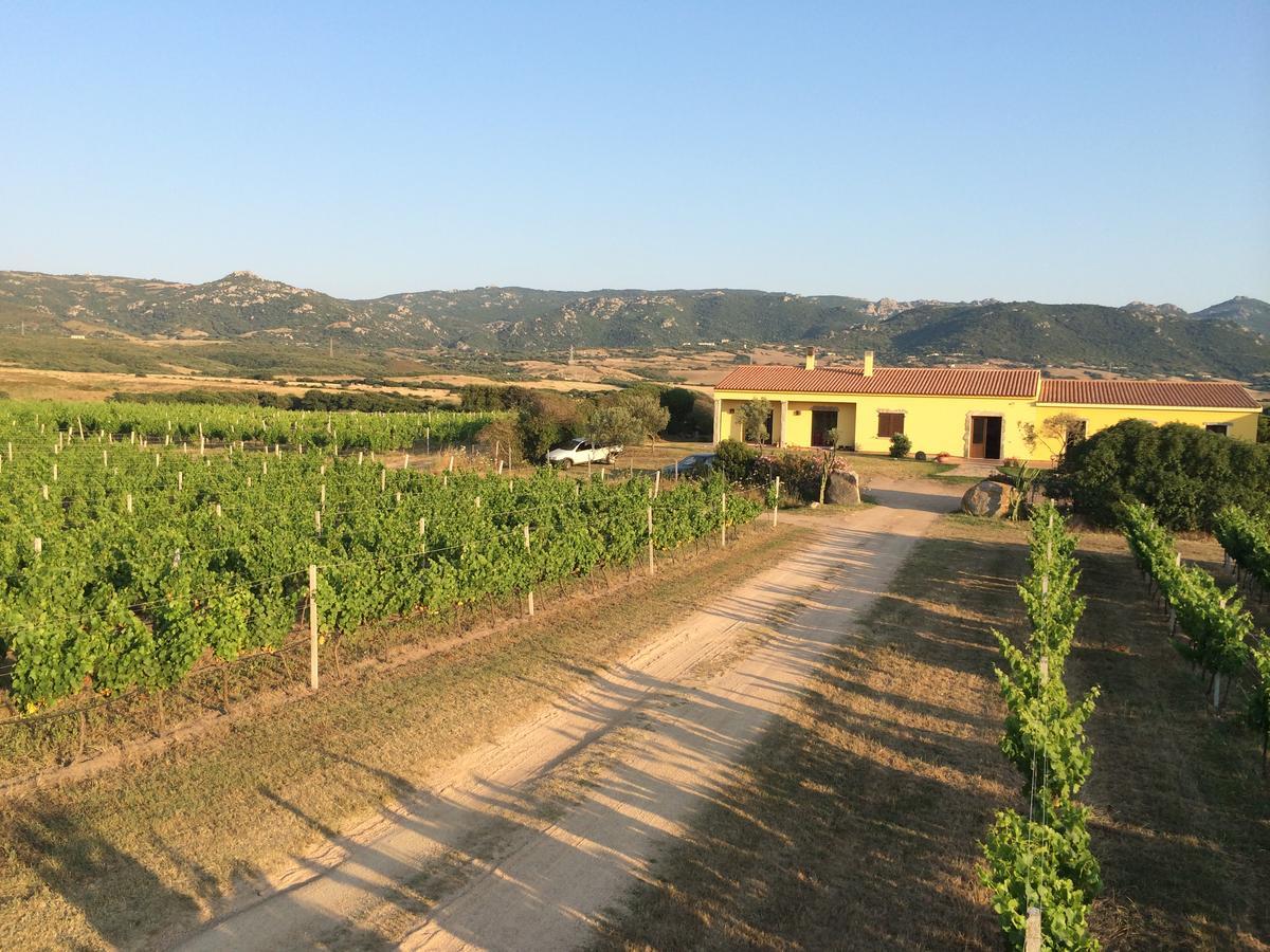 Agriturismo Campesi Casale Tra Le Vigne อาเญ็นตู ภายนอก รูปภาพ