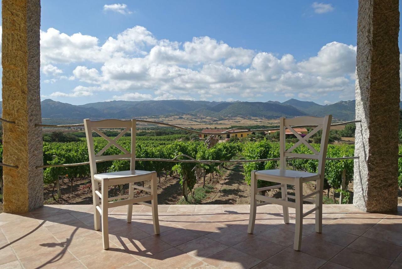 Agriturismo Campesi Casale Tra Le Vigne อาเญ็นตู ภายนอก รูปภาพ