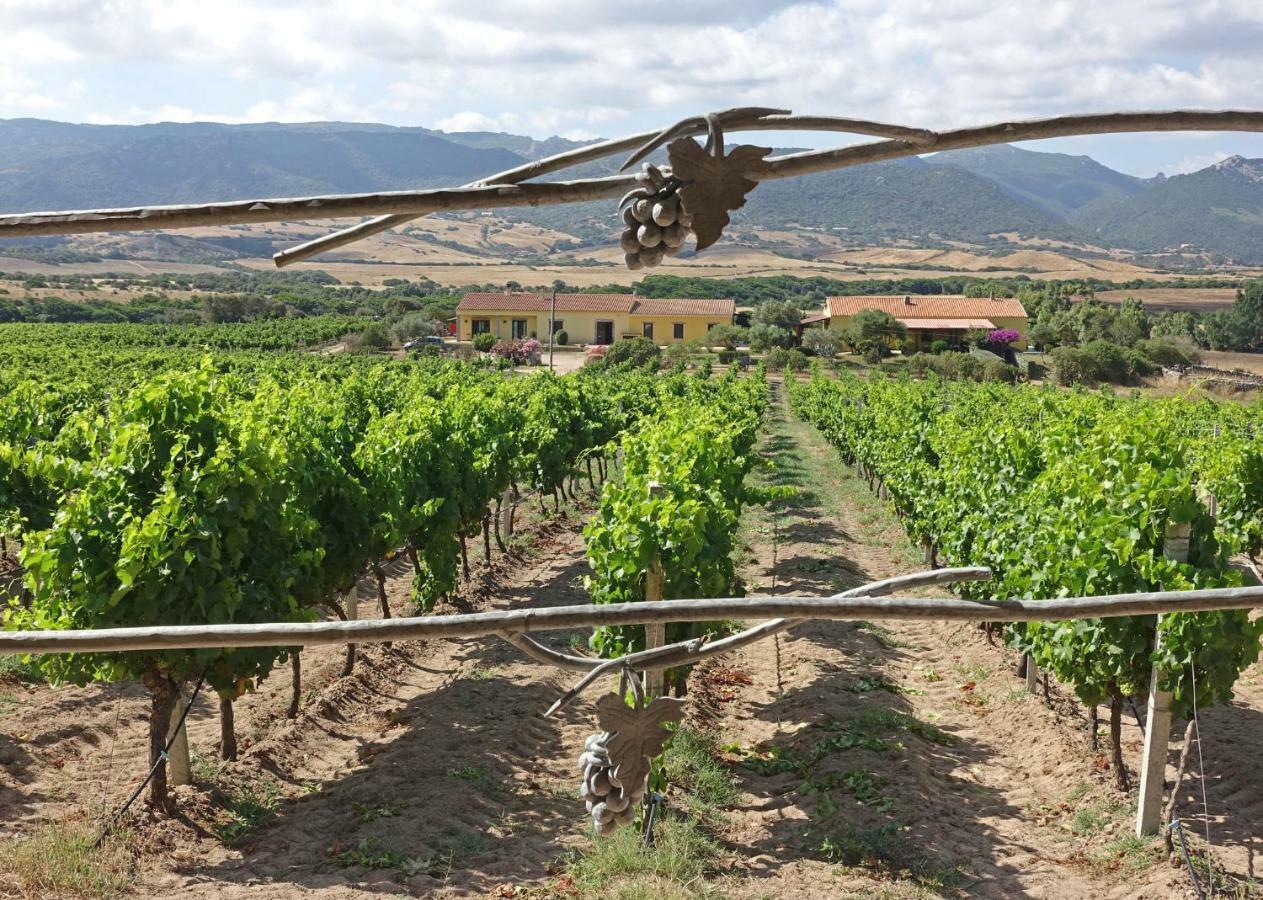 Agriturismo Campesi Casale Tra Le Vigne อาเญ็นตู ภายนอก รูปภาพ