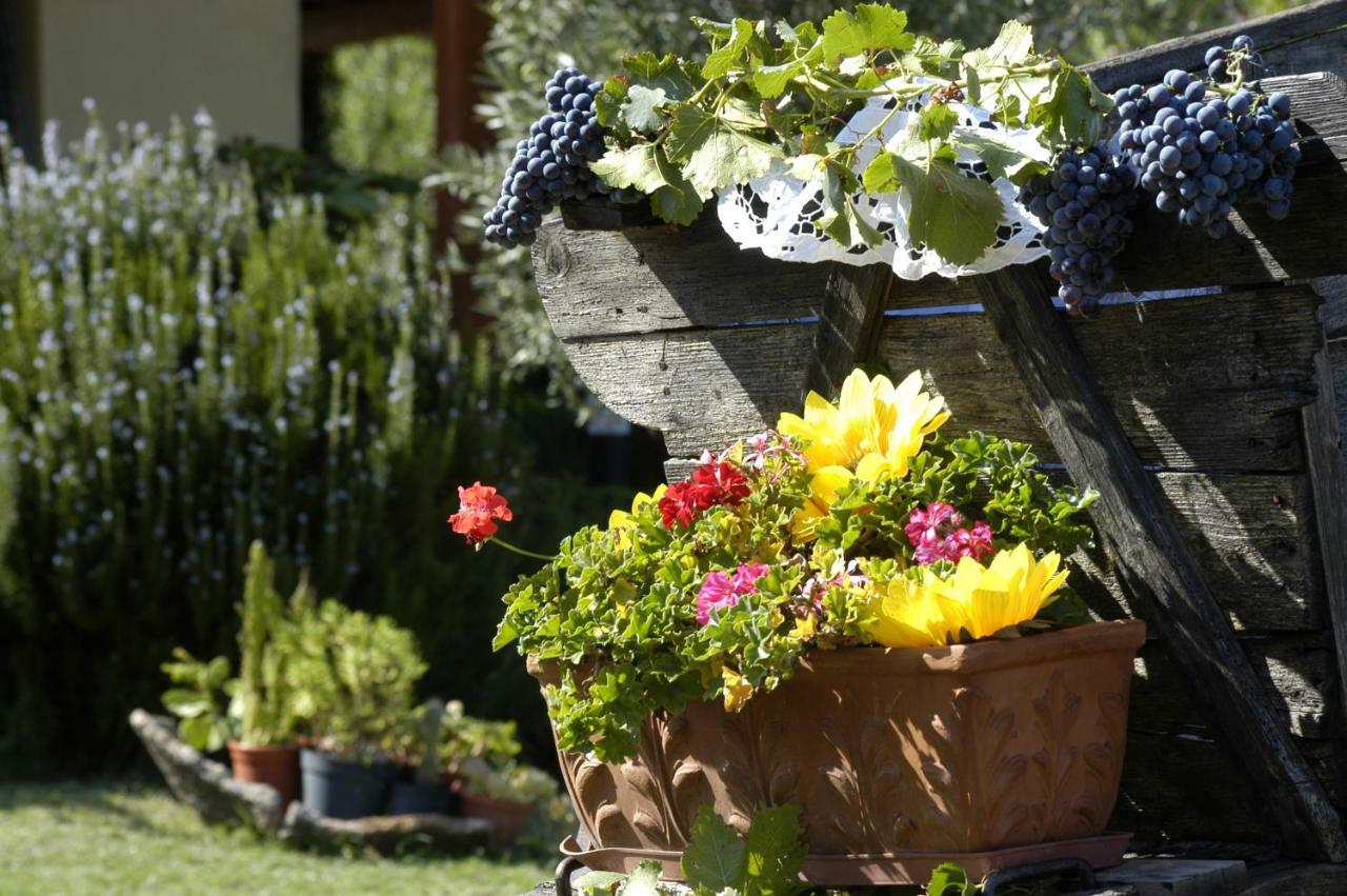 Agriturismo Campesi Casale Tra Le Vigne อาเญ็นตู ภายนอก รูปภาพ