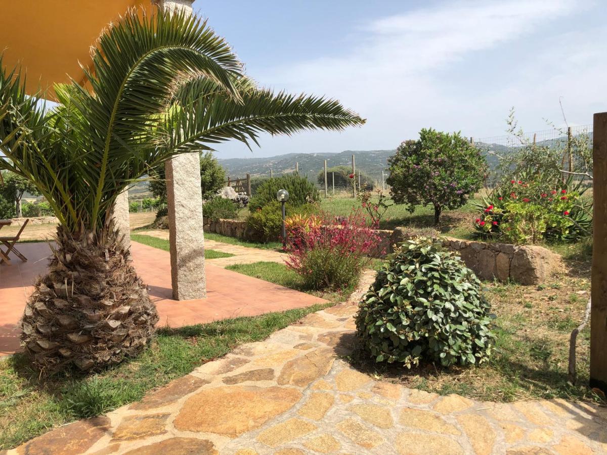 Agriturismo Campesi Casale Tra Le Vigne อาเญ็นตู ภายนอก รูปภาพ