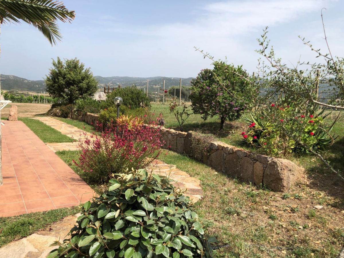 Agriturismo Campesi Casale Tra Le Vigne อาเญ็นตู ภายนอก รูปภาพ